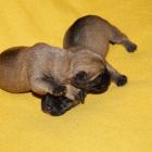 02_first day02.jpg